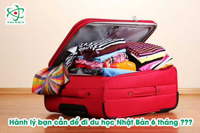 Hành lý du học Nhật Bản cần chuẩn bị những gì