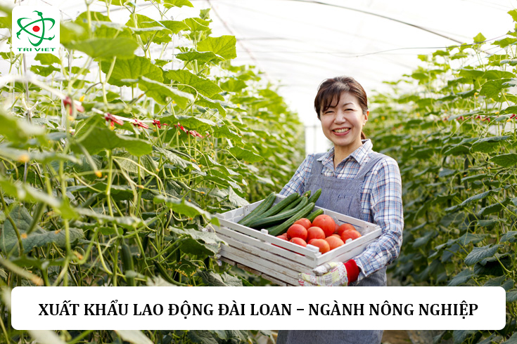 Xuất khẩu lao động Đài Loan - Ngành nông nghiệp